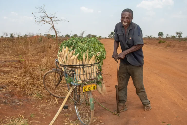 Malawian Farmer